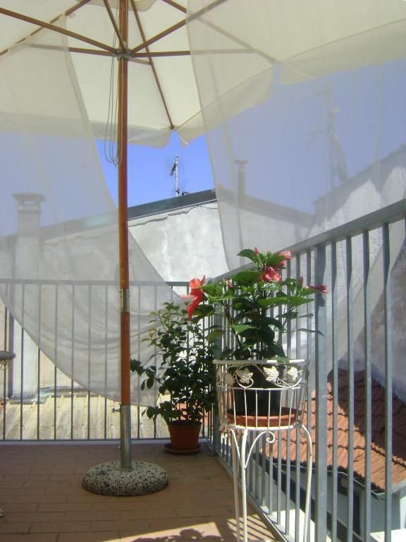 Hotel La Petite Maison Viareggio Kültér fotó
